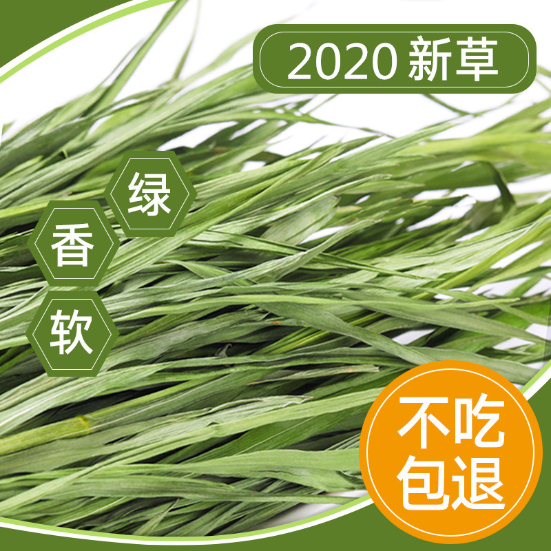 Jesse Dried Rabbit Wheat Grass Guinea Pig Hay Pasture Rabbit Chinchilla Guinea Pig Hay Net Weight 500g