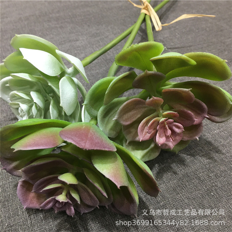 Snow Lotus Stone Lotus Stone bamboo Guanyin lotus Buddha hand Lotus aloe artificial succulent plant green plant small bonsai