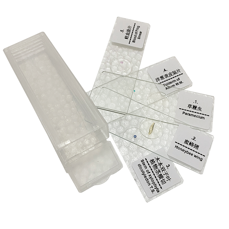 Microscope biological slice biological specimen biological slide 5/10/15/25/50/100/200 kinds suit