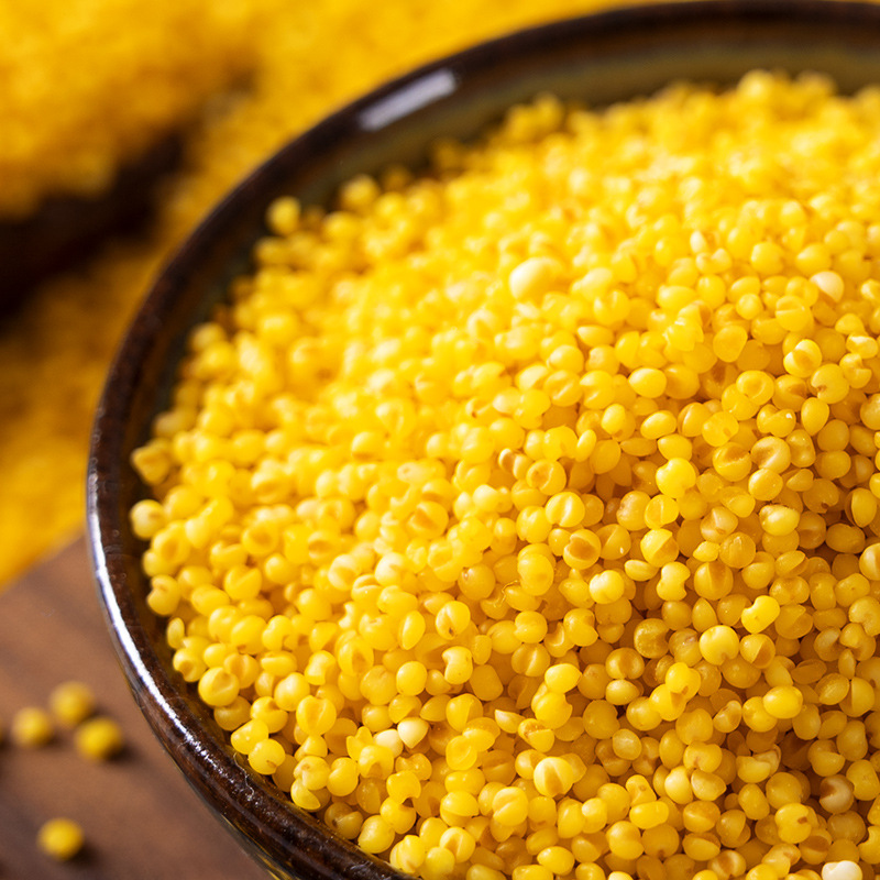Yellow millet porridge small yellow rice 500g new millet Shanxi specialty Xinzhou wholesale a generation of yellow millet