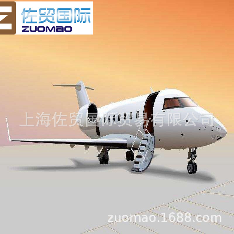 International Logistics/International Express Delivery to the United States by Sea and Air Freight Forwarding Singapore Indonesia Agent Company