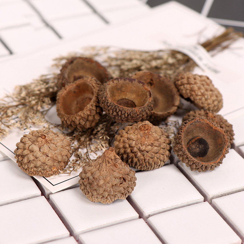 Крышка желудя 1-2.5 см, оптовая продажа, материалы для DIY, настоящая резиновая крышка