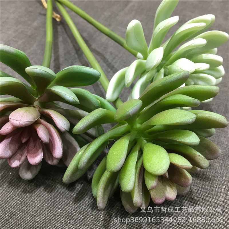 Snow Lotus Stone Lotus Stone bamboo Guanyin lotus Buddha hand Lotus aloe artificial succulent plant green plant small bonsai