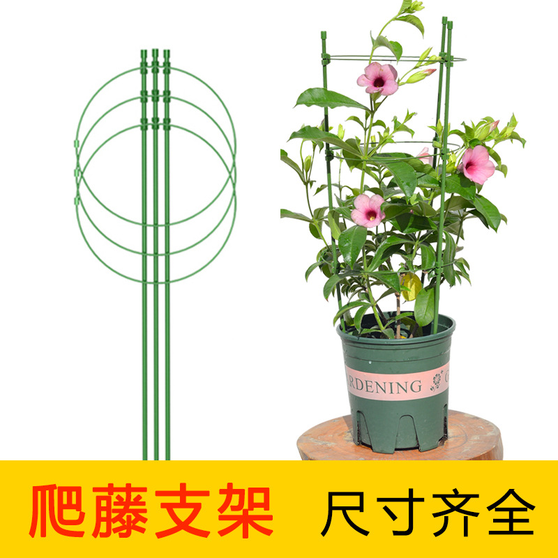 Cross-Border Flower Stand Plant Support Pole Column Clematis Rose Flower Climbing Frame Pothos Climbing Pergola Gardening Supplies