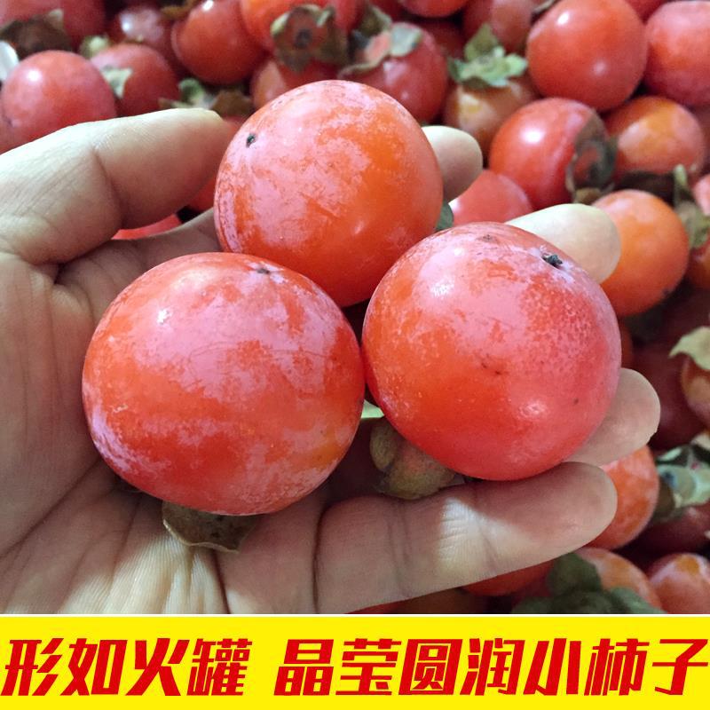 Shaanxi Cupping Persimmon Fire Crystal Persimmon Seasonal Fresh Fruit Seasonal Large Fruit Linyi Crisp Crystal Soft Sweet Small Persimmon