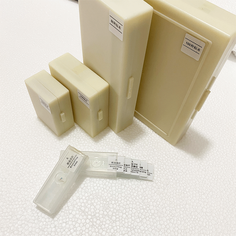 Microscope biological slice biological specimen biological slide 5/10/15/25/50/100/200 kinds suit