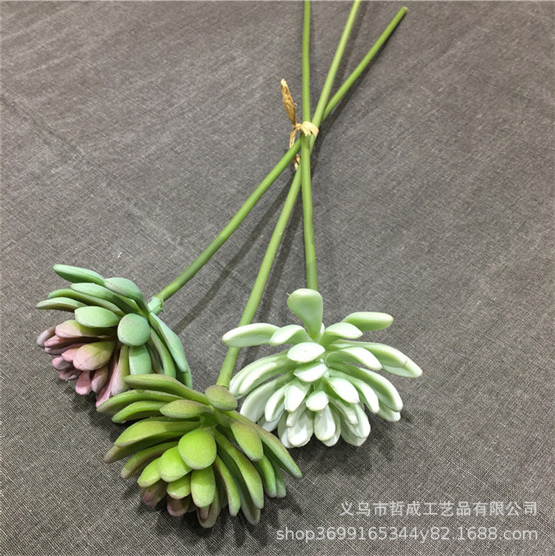 Снежный лотос, каменный лотос, бамбук, лотос Гуаньинь, лотос Будды, рука лотоса, алоэ, искусственное суккулентное растение, зеленое растение, маленький бонсай