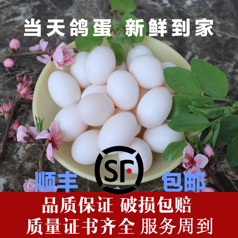 Бесплатная доставка оптовой партии 30 свежих яиц белых голубей, местные фермерские зерна, свободный выпас, для детей