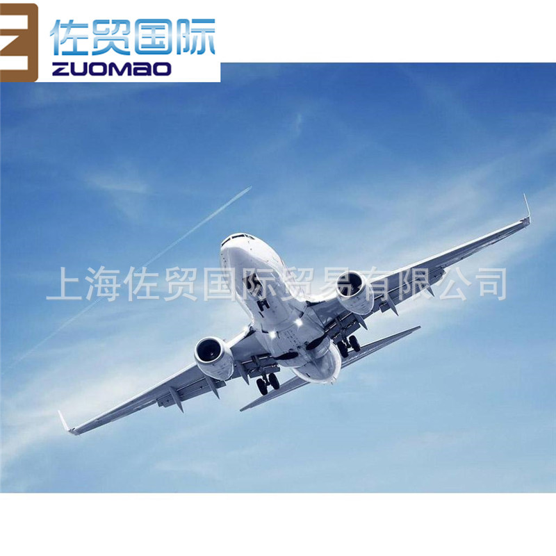 International Logistics/International Express Delivery to the United States by Sea and Air Freight Forwarding Singapore Indonesia Agent Company