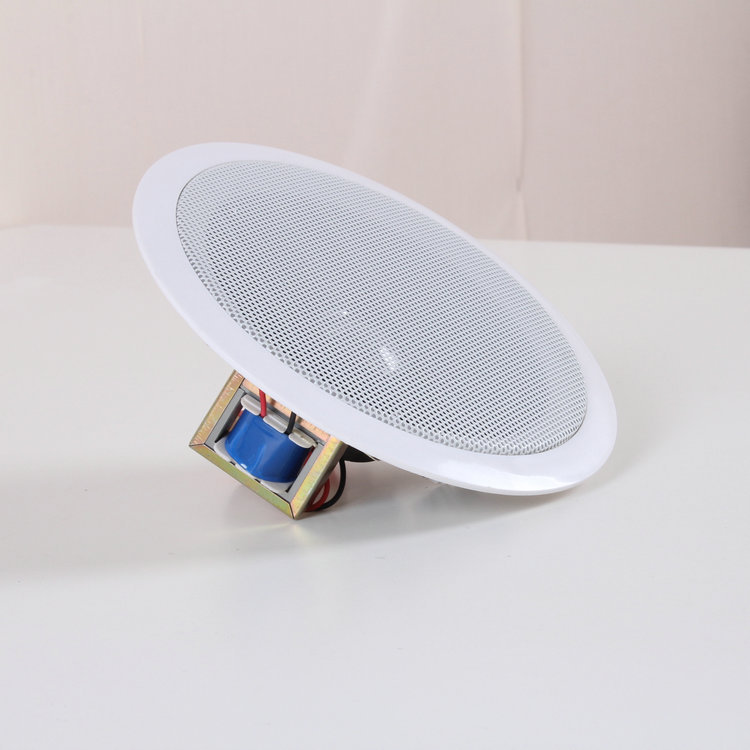 LS-602 Ceiling Audio Ceiling Speaker Audio System Ceiling Speaker Wall Hanging Audio for Indoor Classroom