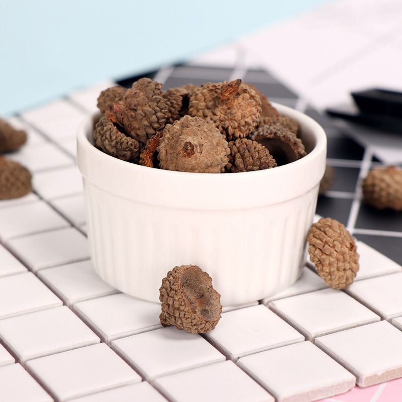 1-2.5cm acorn cap acorn shell wholesale kindergarten DIY dried flower material handmade props real rubber cap ACORN cover