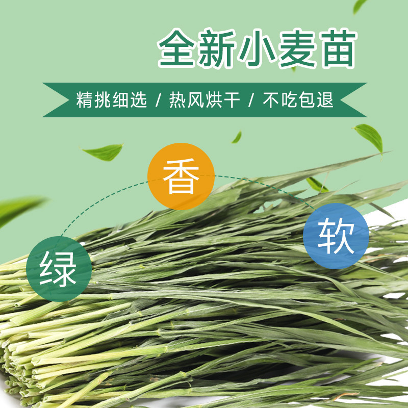 Jesse Dried Rabbit Wheat Grass Guinea Pig Hay Pasture Rabbit Chinchilla Guinea Pig Hay Net Weight 500g