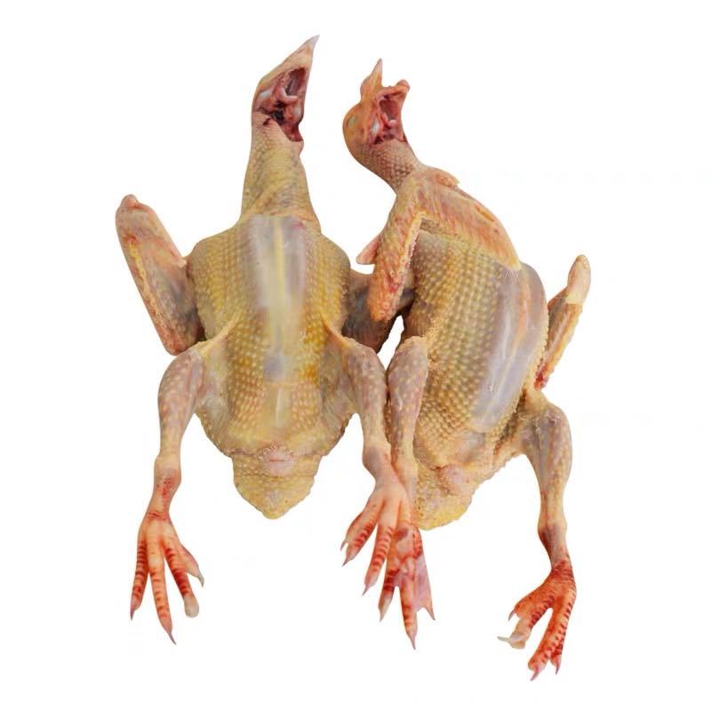 A generation of wholesale now killed old pigeons soup with cereals frozen pigeons free-range now killed meat pigeons chilled