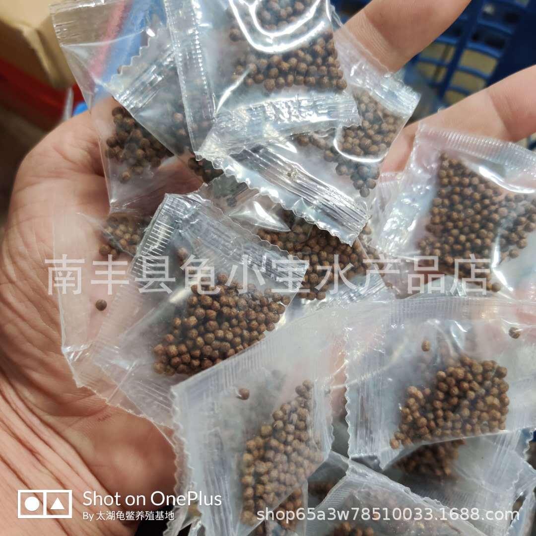 Turtle food turtle feed Brazil turtle turtle grass turtle Brazil turtle small crocodile turtle pet live crocodile Turtle Feed