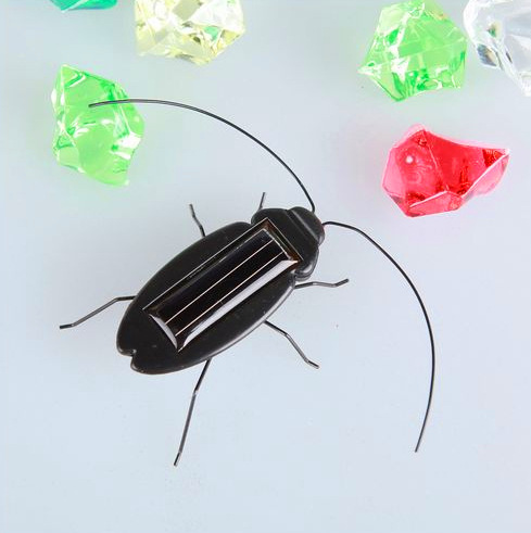 Solar Cockroach Puzzle Insect Model Animal Model Horror