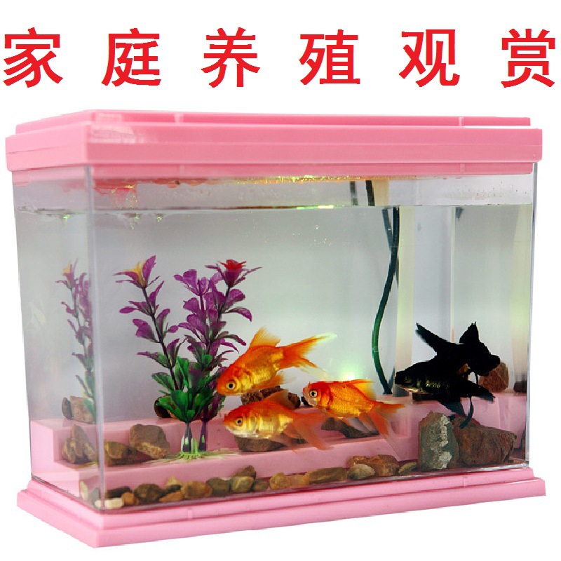 Small Goldfish, Red Grass Carp, Live Feed Fish, Cold Water Ornamental Fish, Live Fish Fry for Sale in Shanghai