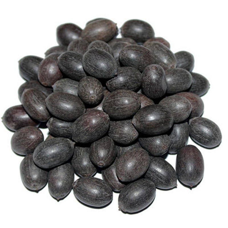 Special Lotus Seeds, Open Lotus Seeds, Water Lilies, Hydroponic Seeds for All Seasons, Water-Grown Bowl Lotus Flowers