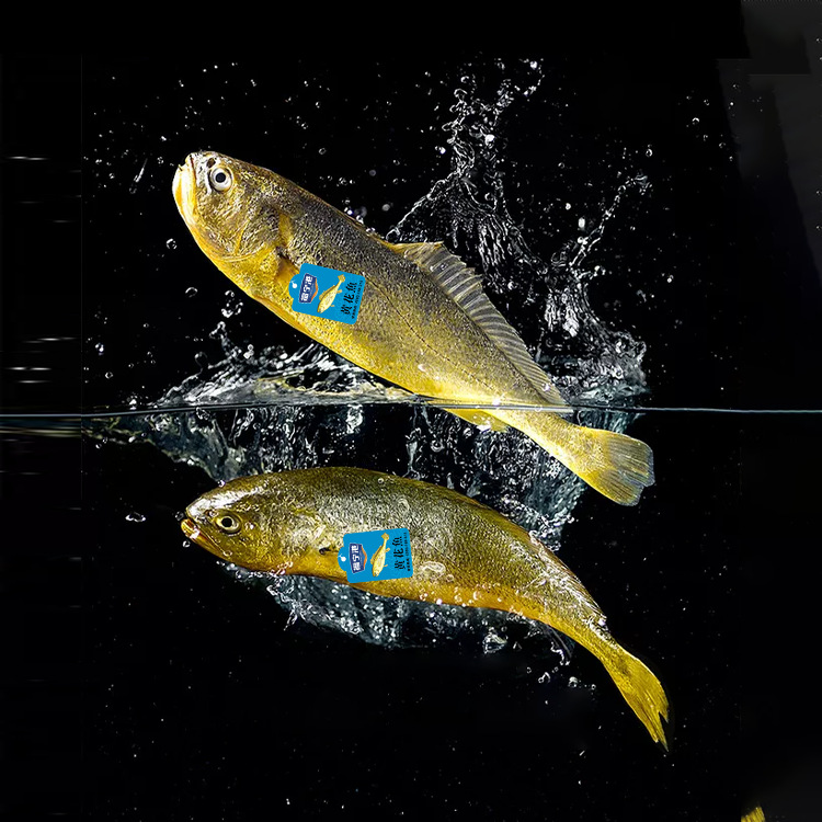 Fish Tags for Live Fish Traceability, Fresh Fish Anti-Counterfeiting, One-Item-One-Code Qr Code Anti-Counterfeiting