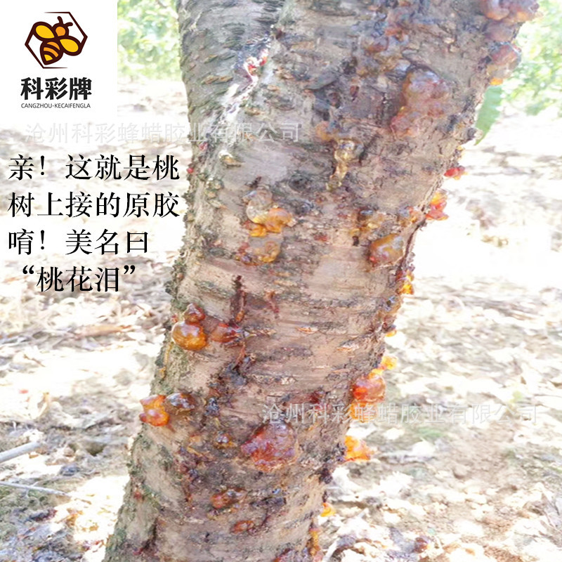 Industrial peach gum peach gum particles powder manufacturer price reasonable Kelai brand pencil Special