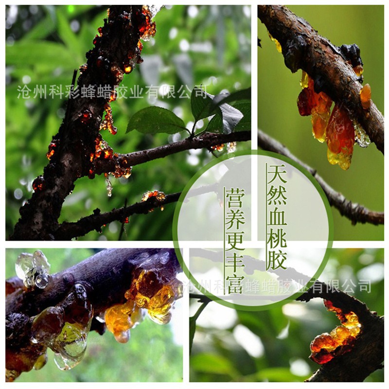 Industrial peach gum peach gum particles powder manufacturer price reasonable Kelai brand pencil Special