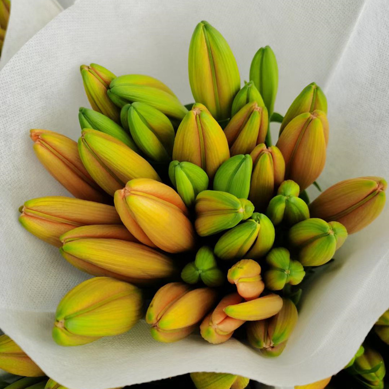 Perfume Lily Flowers Wholesale Yunnan Flowers Direct Batch Wedding Decoration Flower Shop Stall Flowers Community Group Purchase Supply