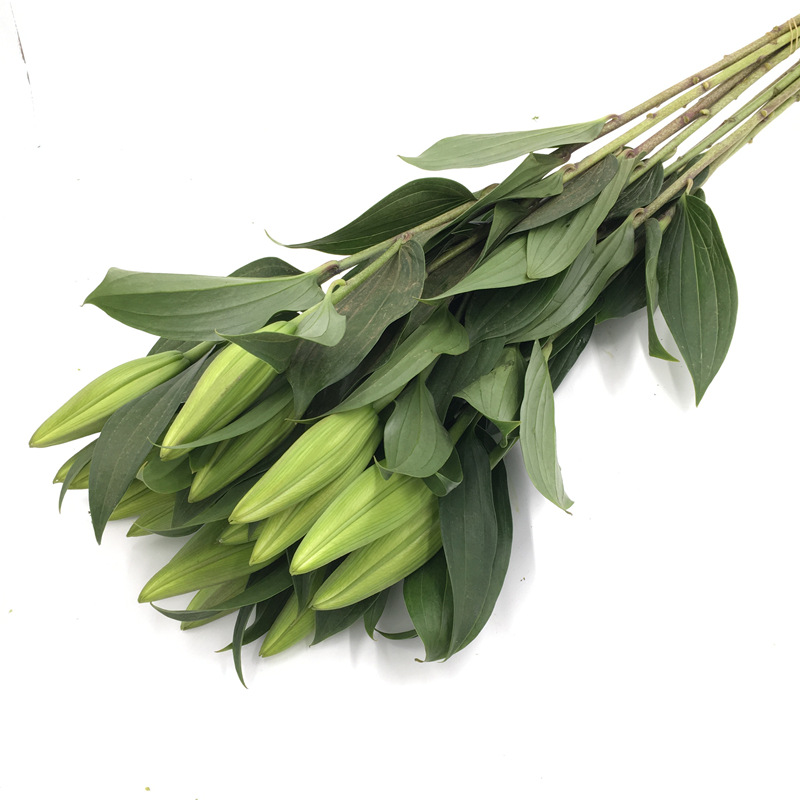 Perfume Lily Flowers Wholesale Yunnan Flowers Direct Batch Wedding Decoration Flower Shop Stall Flowers Community Group Purchase Supply