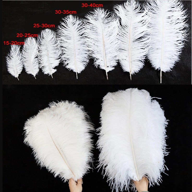 Factory Direct Sales 15-80cm Ostrich Feather Stage Performance White Feather Wedding DIY Decoration Ostrich Feather Wholesale