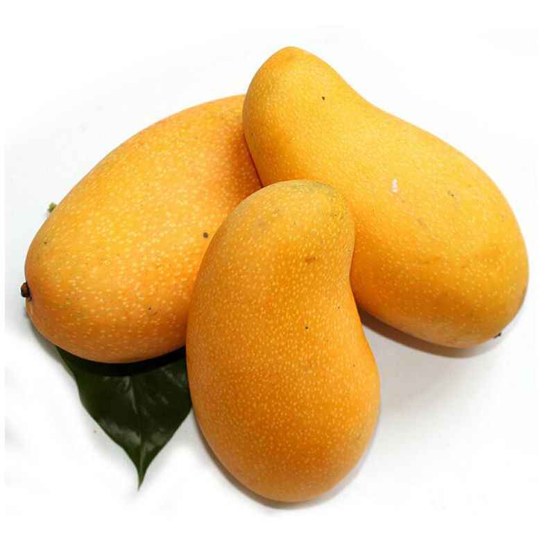 5kg Full Box Free Shipping Jinhuang Mang Seasonal Big Jinhuang Mang Narcissus Mango Sweetheart Fresh Tropical Fruit Mango