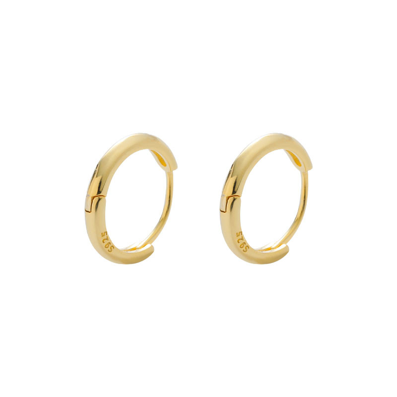 S925 Silver Earrings for Women, Accessible Luxury, High-End Earrings, Niche Simple Ear Bone Nails, Plain Rings, Ins Earrings, Jewelry Wholesale