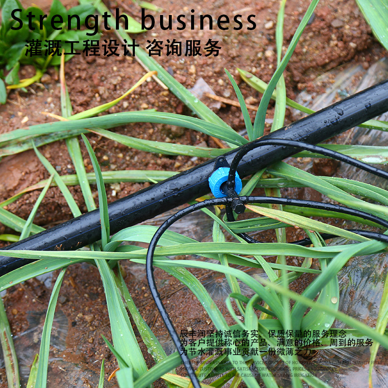 Drop Arrow Drop Sword Curved Arrow Straight Arrow 3/5 Tubes Potted Drip Irrigation Sprinkler Irrigation Equipment Micro Spray Drip Irrigation PE Accessories