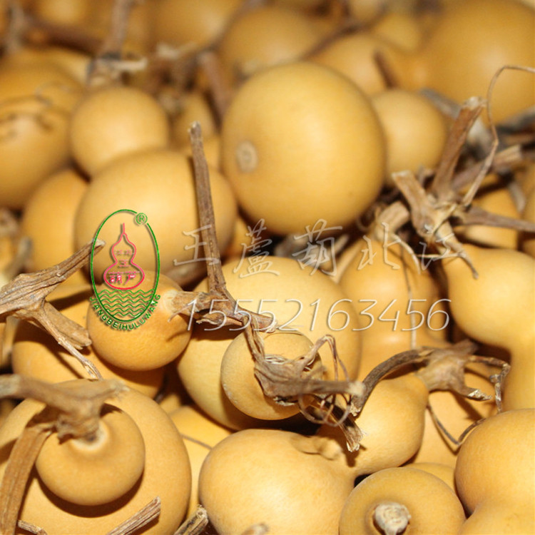 Natural Hand-Twisted Small Gourds from the Place of Origin, Wholesale Gourds for Street Stalls, Plain Gourds for Hand Play