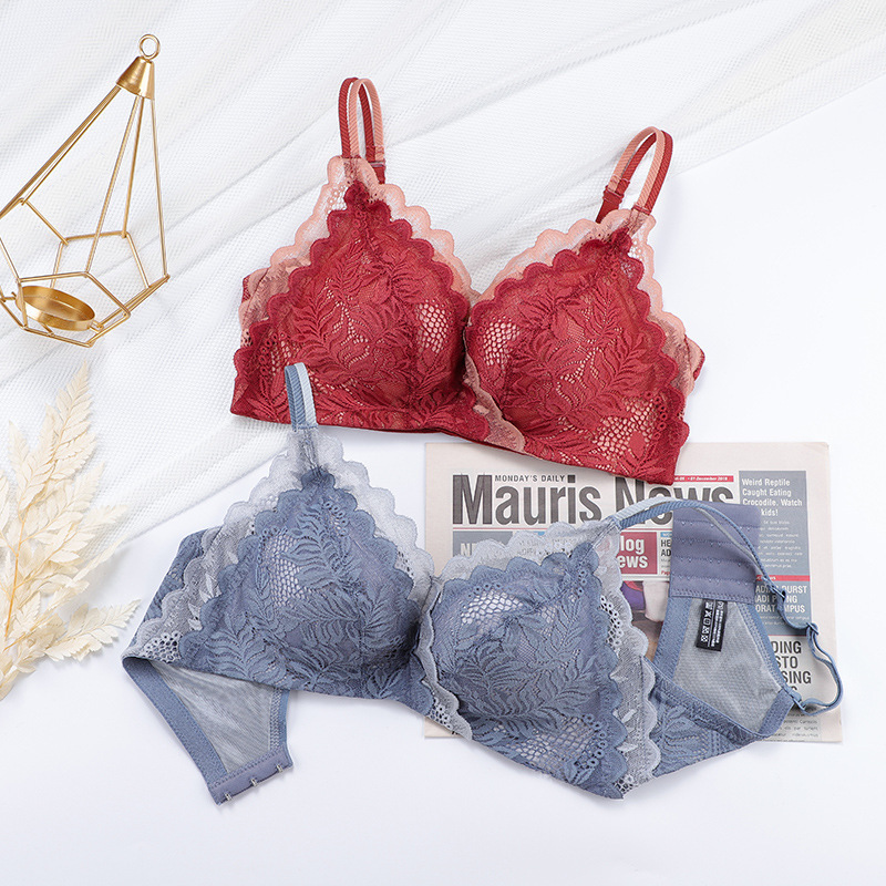 Popular Wild Rose Sexy Lace Underwear No Wires Plaid Breathable Small Breast Push up Adjustable Bra Set