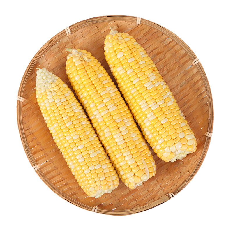 Yunnan fresh vegetables and fruits corn puree sweet waxy corn season sweet corn cob a generation of postage