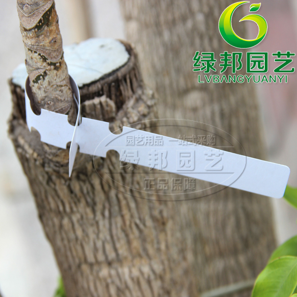 PVC waterproof ring cover label flower plant label garden label plastic Orchid label seedling flower King label