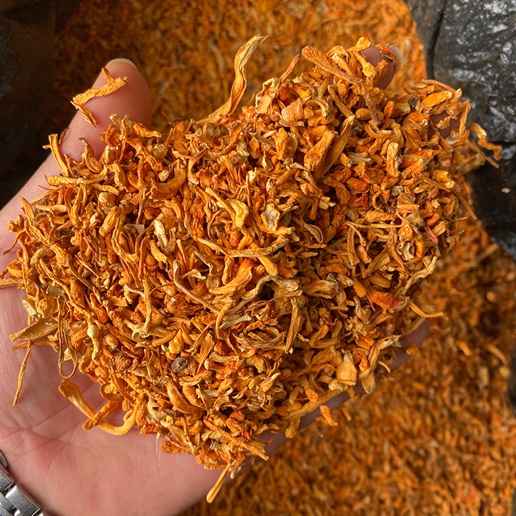 Cordyceps flower scraps Cordyceps flower scraps raw materials Cordyceps flower condiments Cordyceps flower accessories Cordyceps flower feeding wholesale