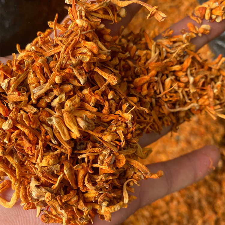 Cordyceps flower scraps Cordyceps flower scraps raw materials Cordyceps flower condiments Cordyceps flower accessories Cordyceps flower feeding wholesale