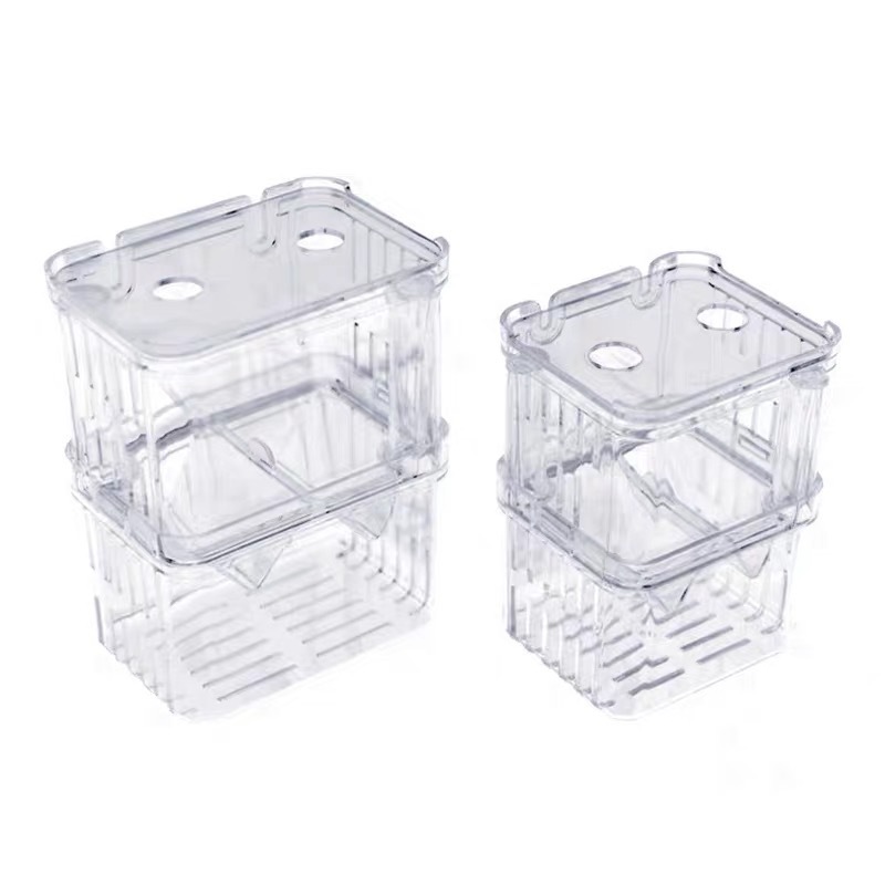 Fish tank incubation box guppy bucket fish isolation box small fish tank fry small fish ovipositor aquarium flushing oxygen breeding box