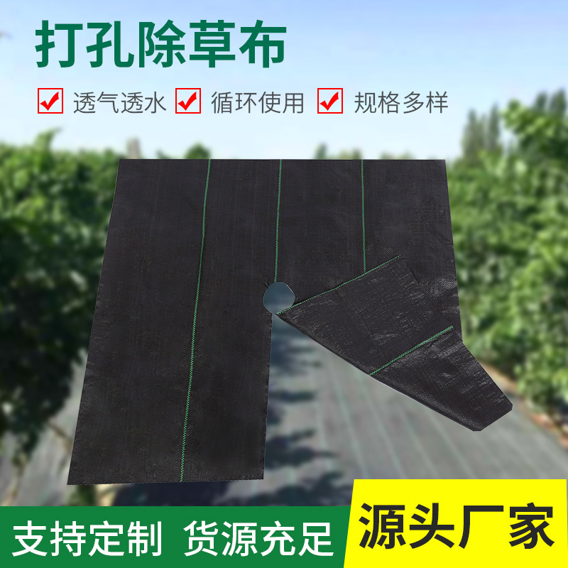 Зеленая анти-травяная ткань, перфорированная, для садов, теплиц, оптовая продажа