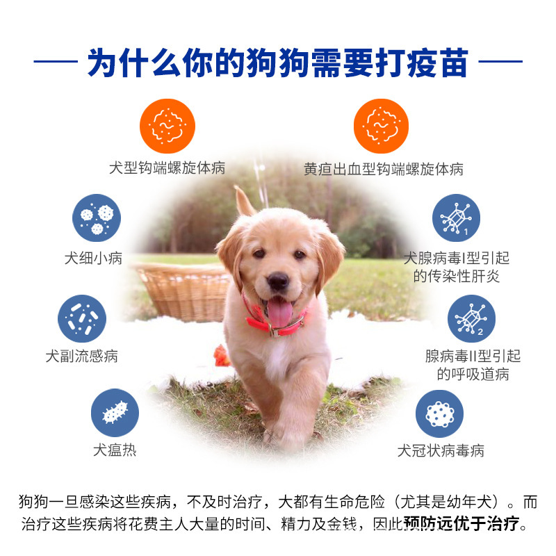 American Pfizer Zoetis Weijia Wu Weijia 5 | Wei Jia Eight Pet Biwei Miaosanduobik Rabies Pet Vaccine
