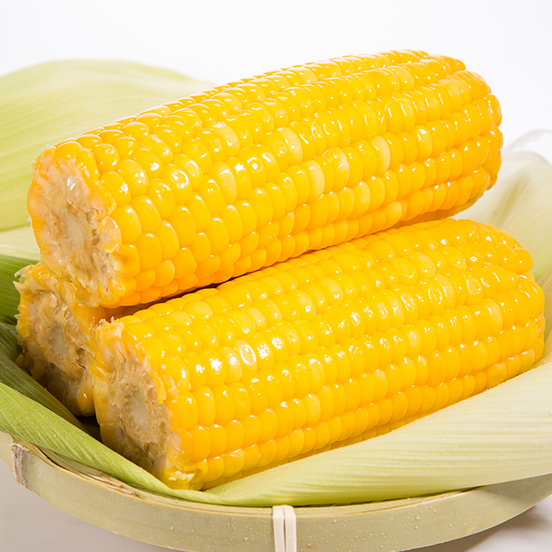 Guangxi fruit corn cob fresh sweet corn 230g * 6 base manufacturers direct batch instant vacuum coarse grain meal replacement