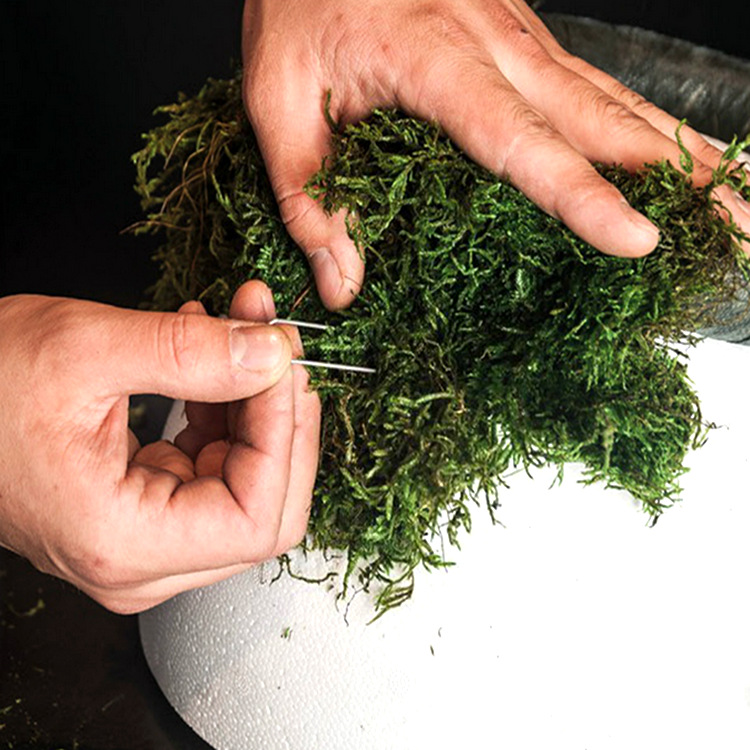 Spot flower green plant M-shaped needle U-shaped German needle Moss fixed wreath making tree sculpture M-shaped needle