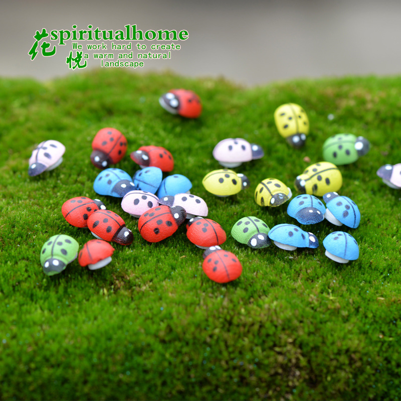 Micro Landscape Ornaments, Accessories, Succulent Ornaments, Wooden Crafts, Beetle, Seven-Star Ladybug, Ladybug