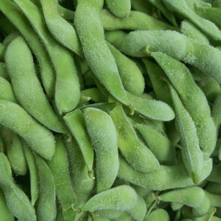 Quick-Frozen Edamame Frozen Vegetable Manufacturer Directly Supplies Long-Term Supplies Pre-Meal Snacks Cold Edamame