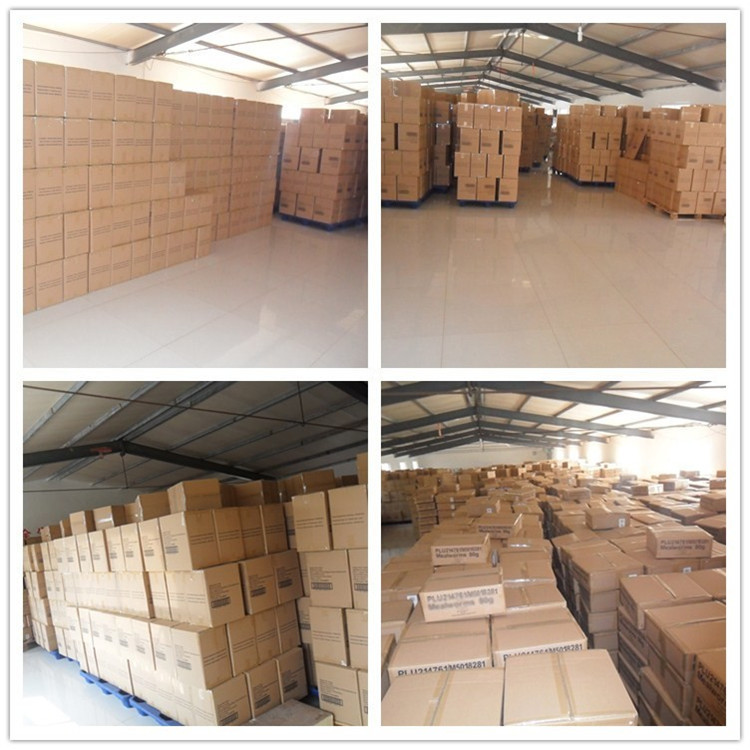 Yongzheng Manufacturer Directly Supplies Microwave-Dried Cricket, Grasshopper, Ornamental Fish Feed, Turtle, Bird, Poultry, Insect Special Feed