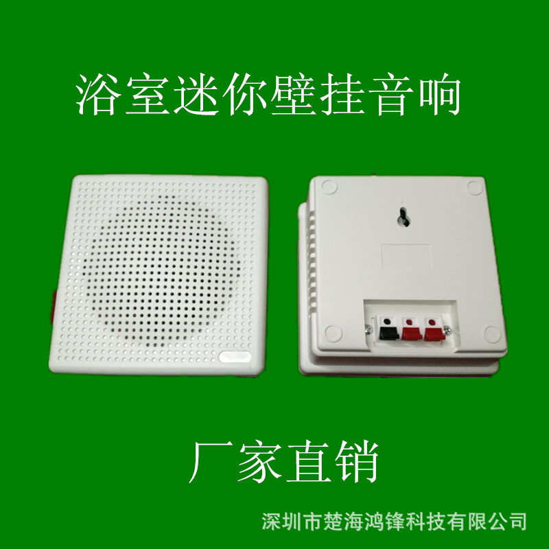 Chuhai Hongfeng Mini Fixed Pressure Fixed Resistance Bathroom Waterproof Wall-Mounted Speaker Mini Acoustic Sofa Speaker Mini Speaker