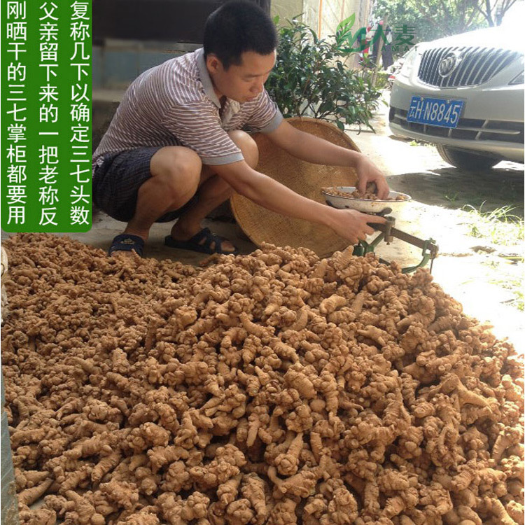 Barley Wenshan Panax Notoginseng Special Wholesale Yunnan Wenshan Spring Panax Notoginseng Tianqi Panax Notoginseng Powder Wenshan Origin Medicinal Materials