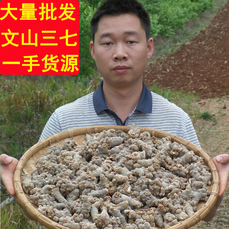 Специальная оптовая продажа панакса нотогинсенга Юньнань Вэньшань