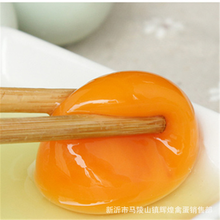 Farm Wholesale Large Green Shell Eggs Fresh Free Range Green Shell Black Eggs Farm Local Eggs Green Shell Grass Eggs