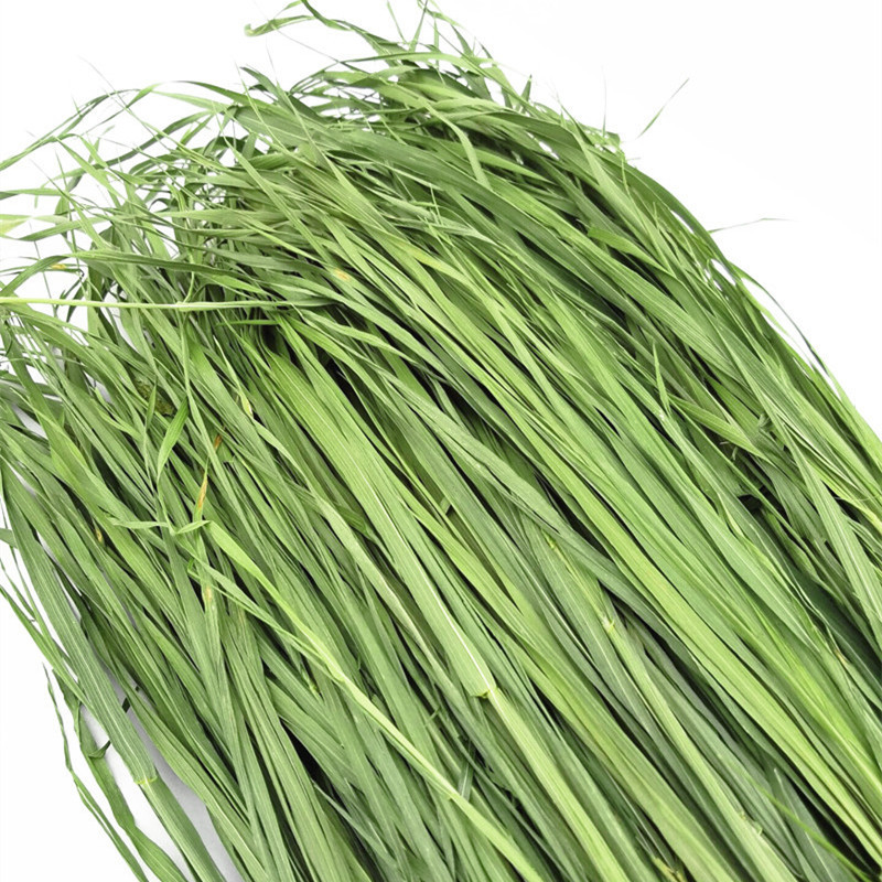 Dried Rabbit Wheat Grass Guinea Pig Hay Pasture Rabbit Chinchilla Guinea Pig Hay Net Weight 500g