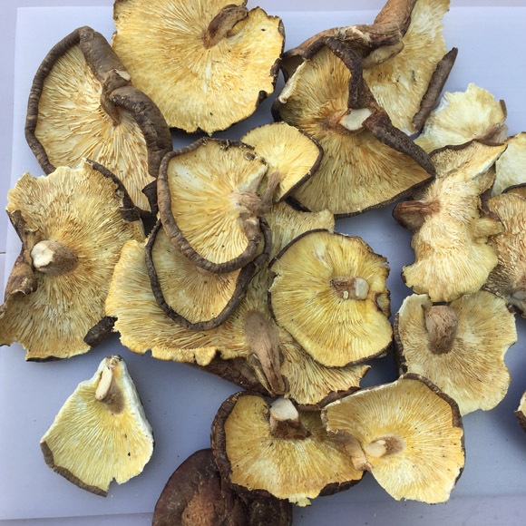 Large Cup of Mushrooms Xixia Shiitake Mushrooms New Arrival Shiitake Mushrooms Large Dried Shiitake Mushrooms Fragments Household Large Mushroom Dry Goods 500g Wholesale